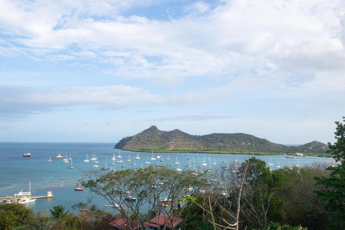 Carriacou Garnet--A Gem At Dee'S Pearlヴィラ エクステリア 写真